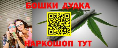 сатива Лесосибирск