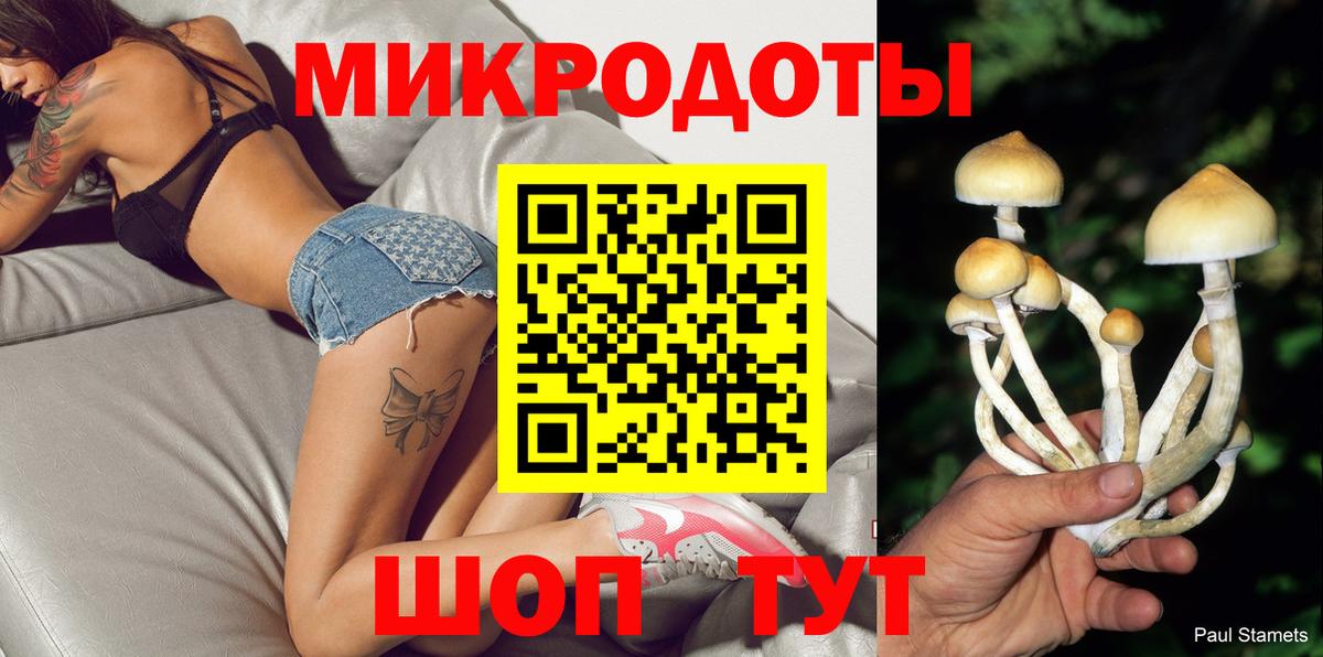 Галлюциногенные грибы прущие грибы Ефремов